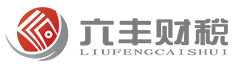 六豐財(cái)務(wù)-最懂您的財(cái)稅專(zhuān)家，幫助企業(yè)解決企業(yè)財(cái)務(wù)管理、社保代理、代理稅務(wù)服務(wù)、會(huì)計(jì)外包、掛牌上市財(cái)務(wù)整理等財(cái)稅服務(wù)，最懂您的財(cái)稅專(zhuān)家。電話：